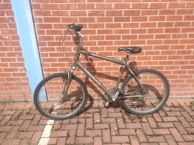 ridgeback adventure k4